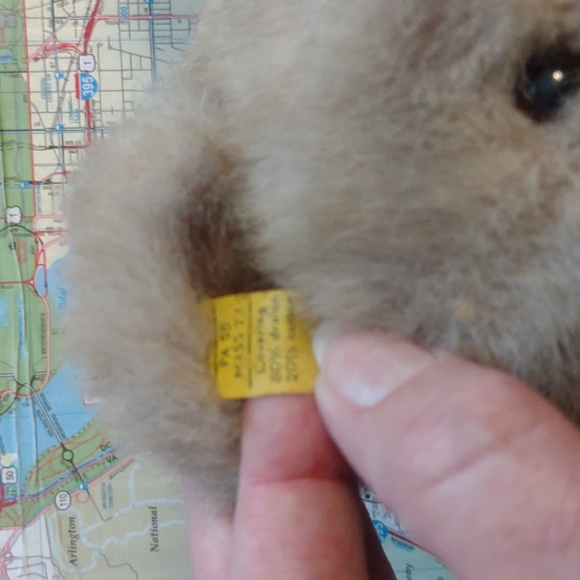 Stieff Minky Zotty 14 in. Bear - Picture 4 of 6